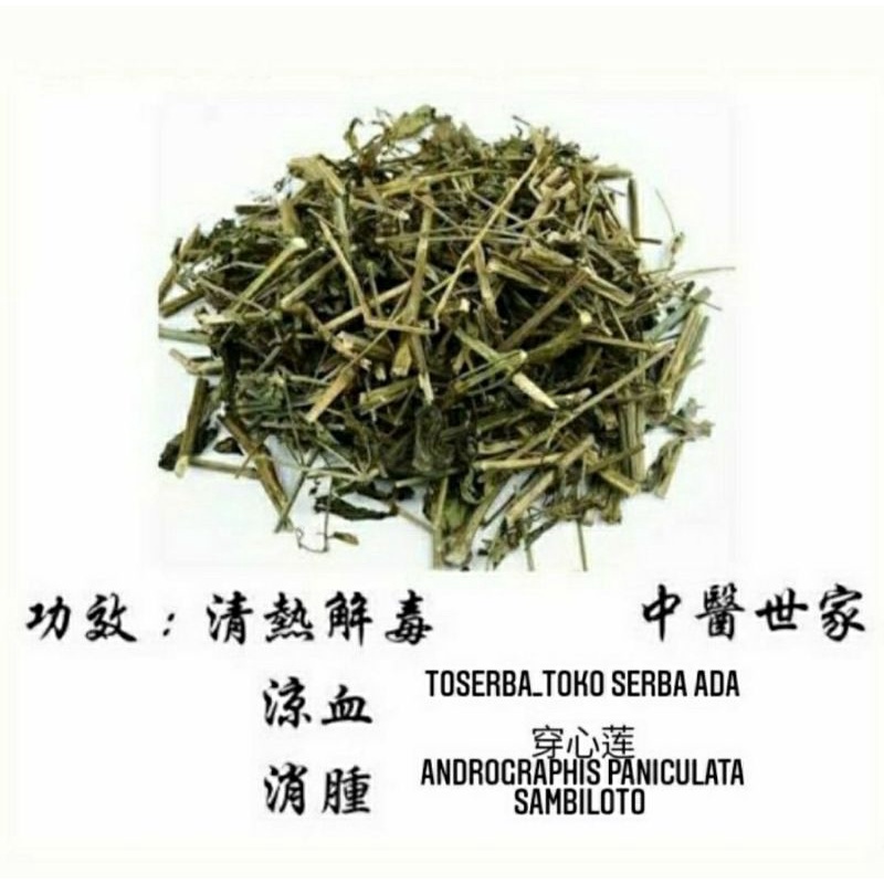 

100gr Herbal Chuan Xin Lian 穿心莲 Andrographis Paniculata