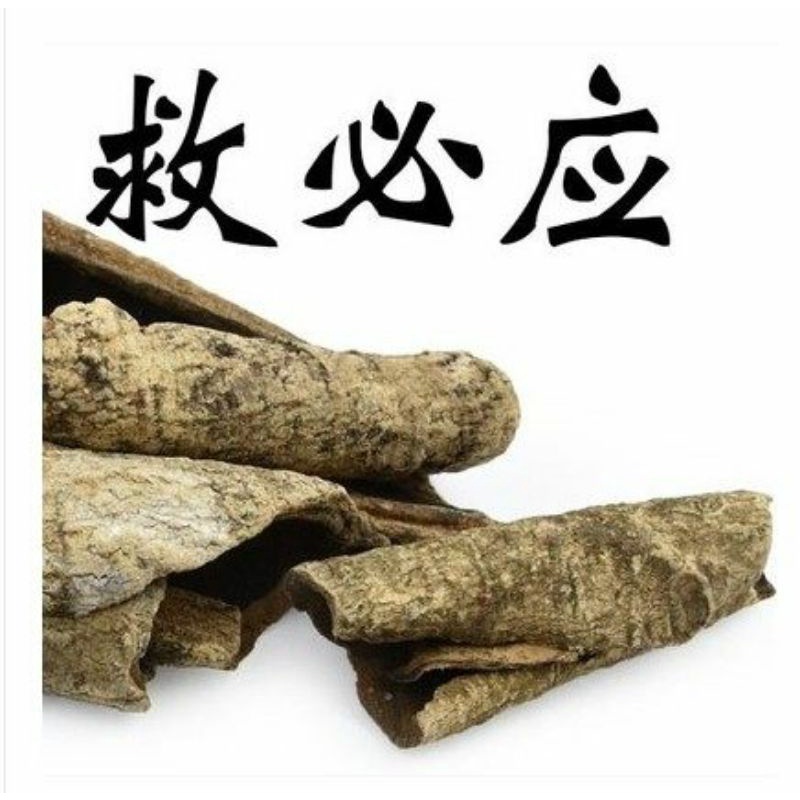 

100gr 救必应 Jiu Bi Ying Ilex Rotunda Cortex Ilicis Rotundae Cortex Ovateleaf Holly Bark