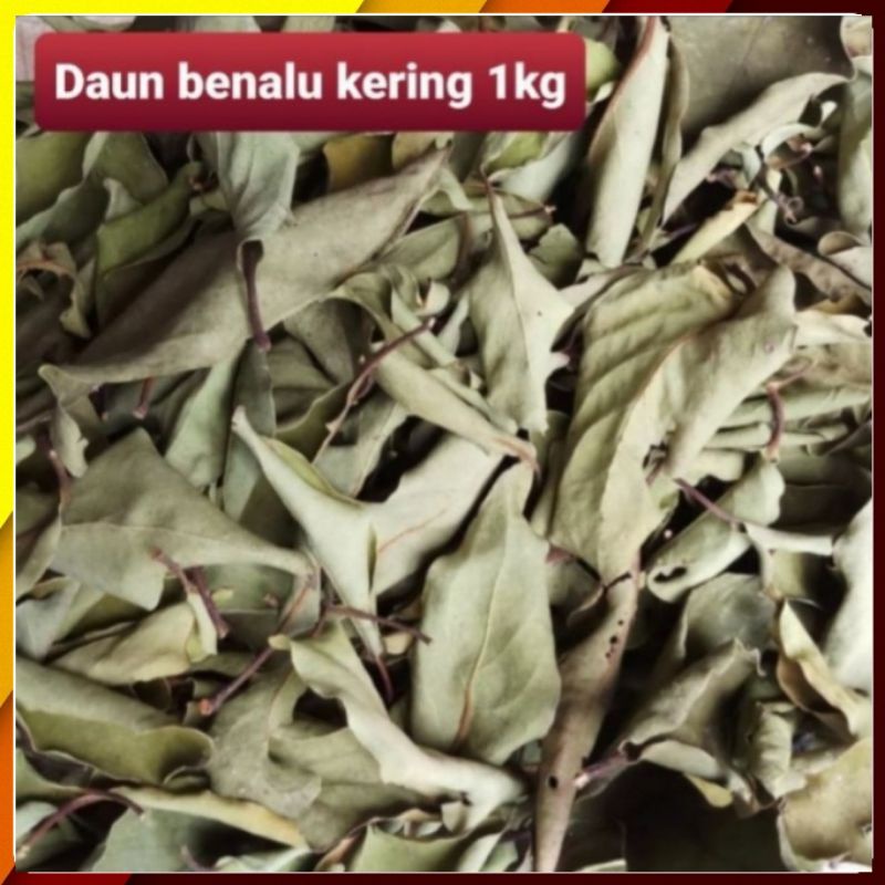 

Daun benalu kering 1kg