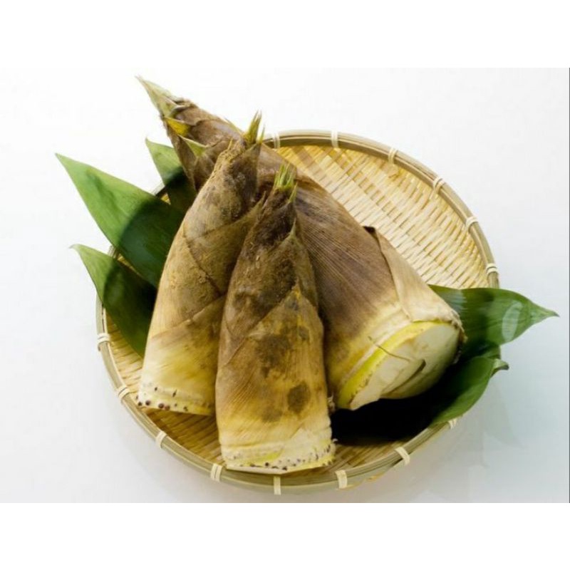 

(BISA COD)Buah rebung .sayur segar