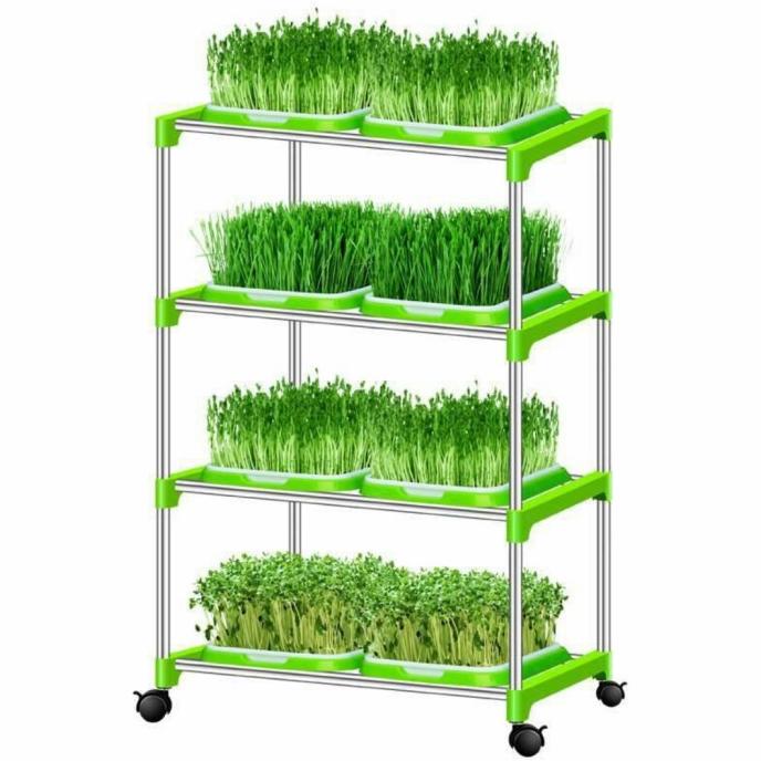 Rak Microgreens