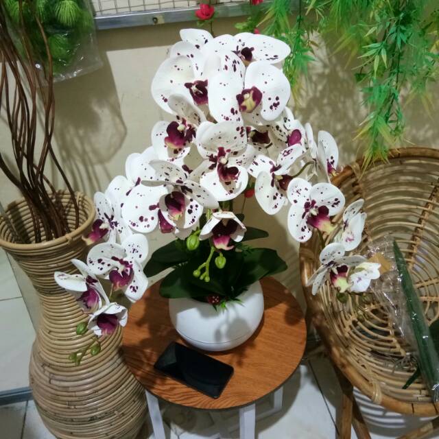 Anggrek latex delmation set isi 3 jumbo,anggrek latex termurah se shopee,grosir anggrek latex,anggre