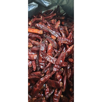 

cabe merah import cabe kering pedas