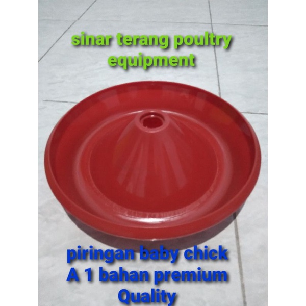 piringan baby chick A 1