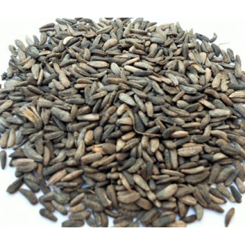 [600gram]  Niu Bang Zi / Niu Pang Zi -  Fructus Arctii