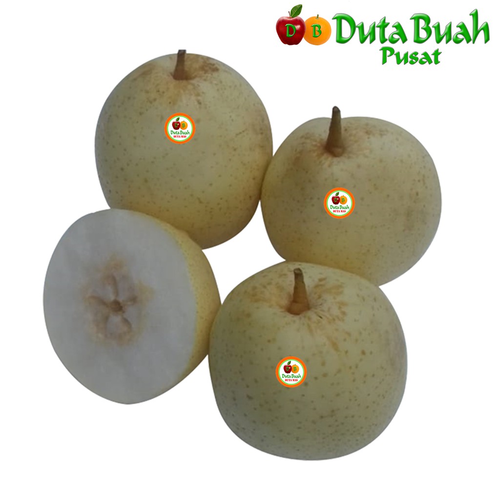 

DUTA BUAH Pear yalie (0.4-0.6 kg/3pcs)