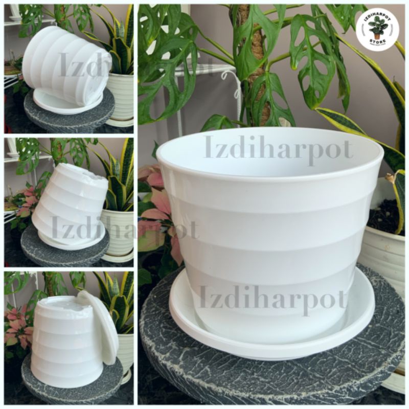 pot bunga tanaman Mado putih 19cm lovenia + tatakan putih 8022