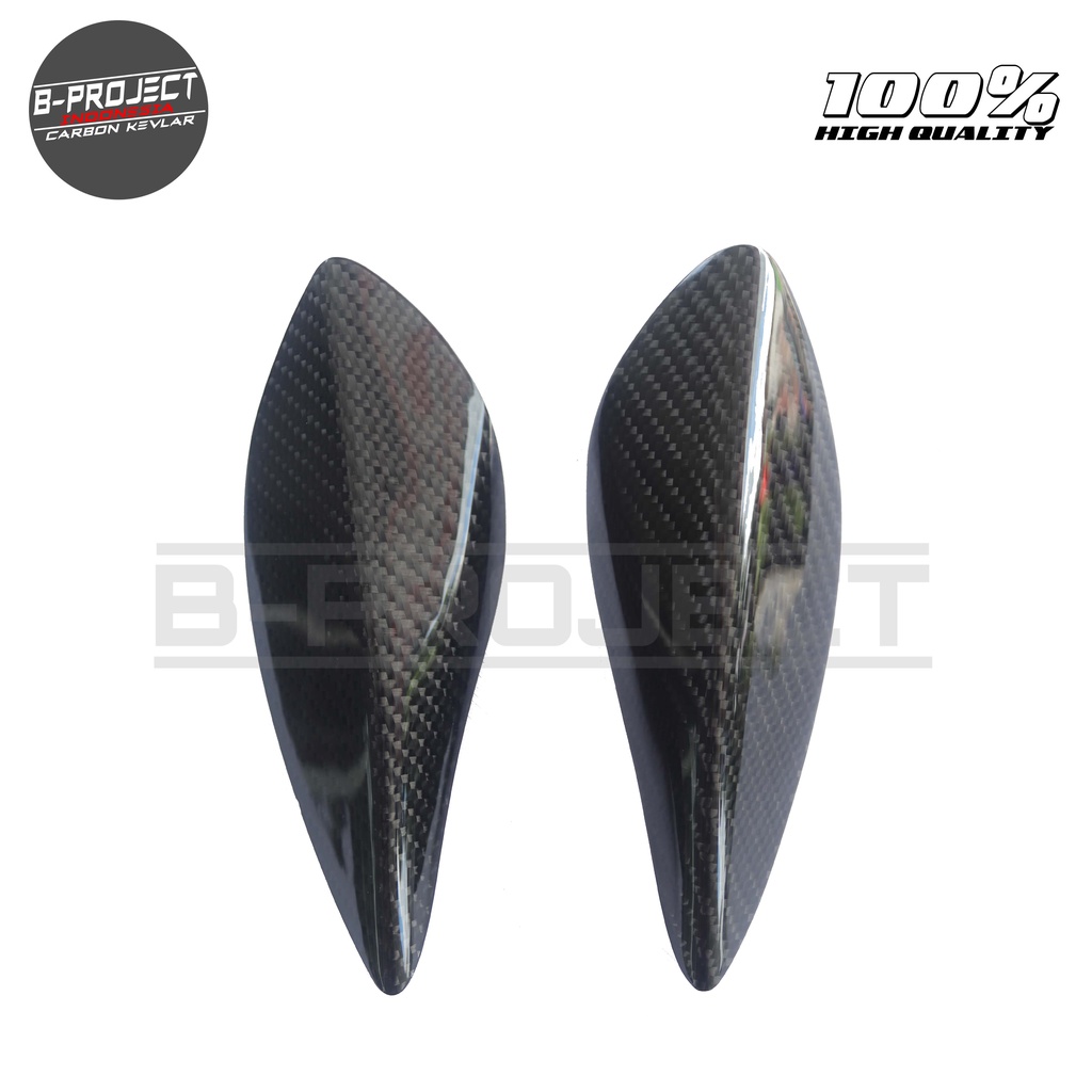Body Protector Honda Forza real carbon