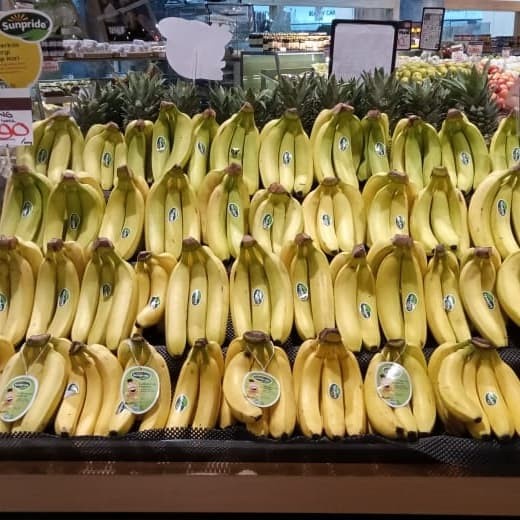 

Buah Pisang Cevendish Sunpride