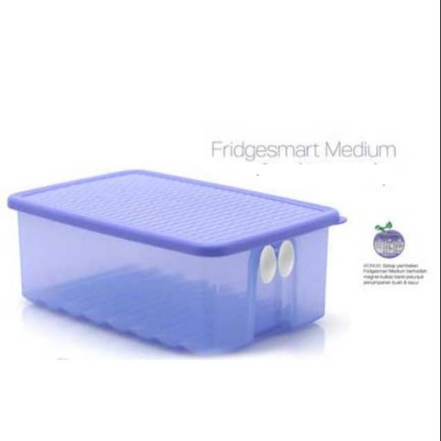 Fridgesmart Medium