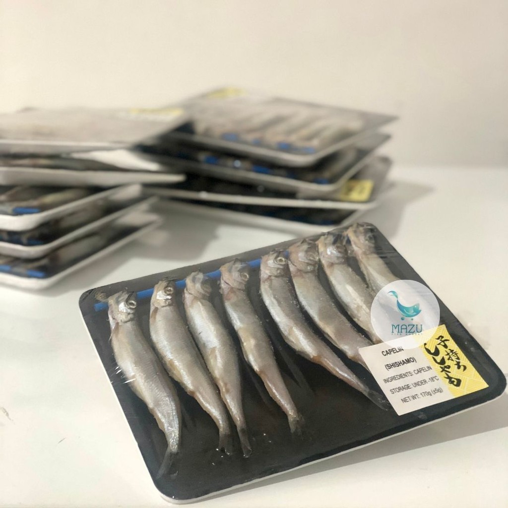 

Ikan Shisamo / Shisamo Fish / Capelin