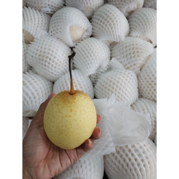 

PEAR YALIE