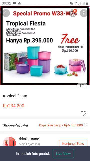 Tropical Fiesta + Free