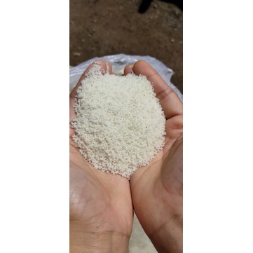 

Nasi Jagung
