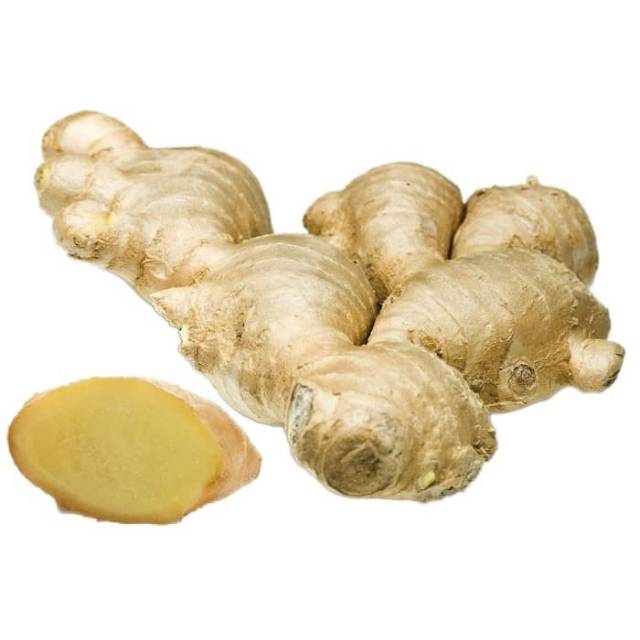 Bibit herbal Lempuyang - tanaman lempuyang