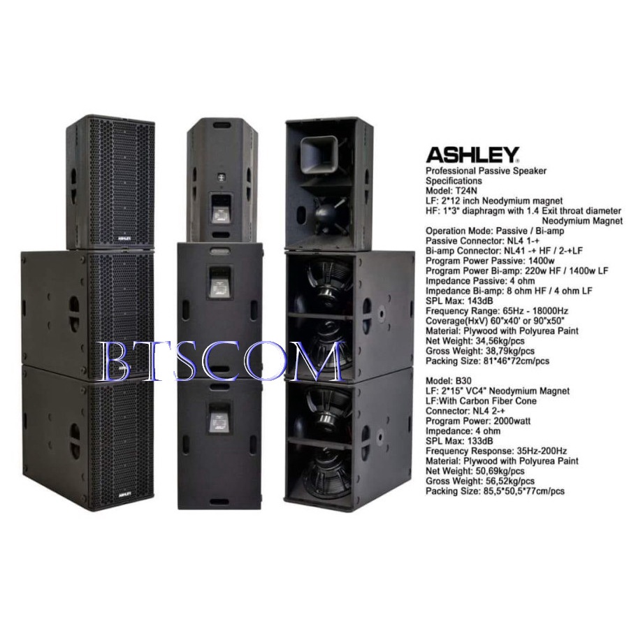 SPEAKER PASIF ASHLEY T24N T 24N T 24 N 2X12 NEODYMIUM MAGNET