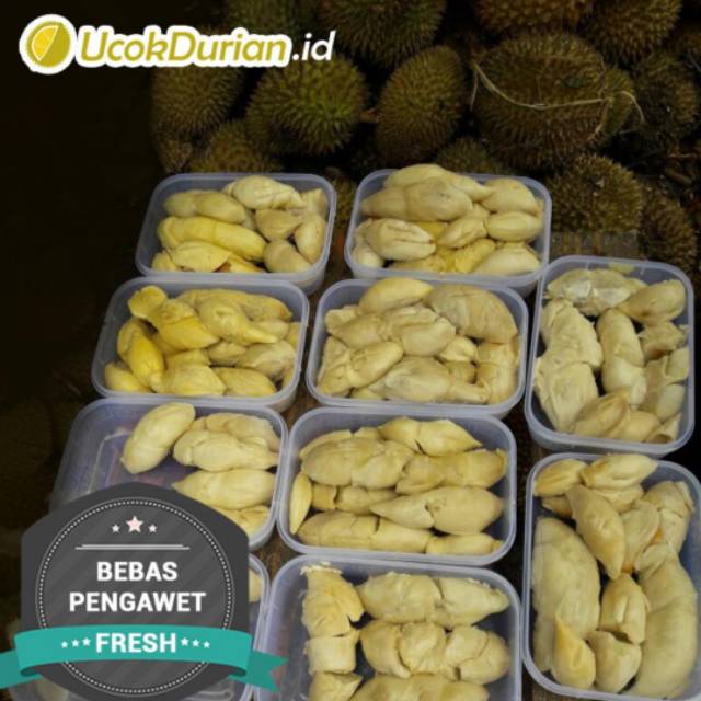 

Ucok durian