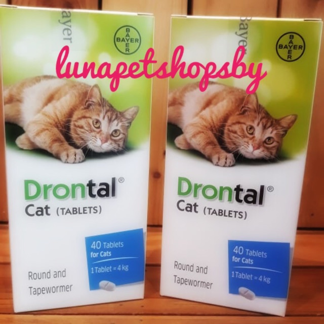 Drontal Cat