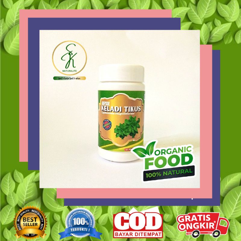 

Kapsul Herbal Keladi Tikus Obat Pendamping Kemoterapi