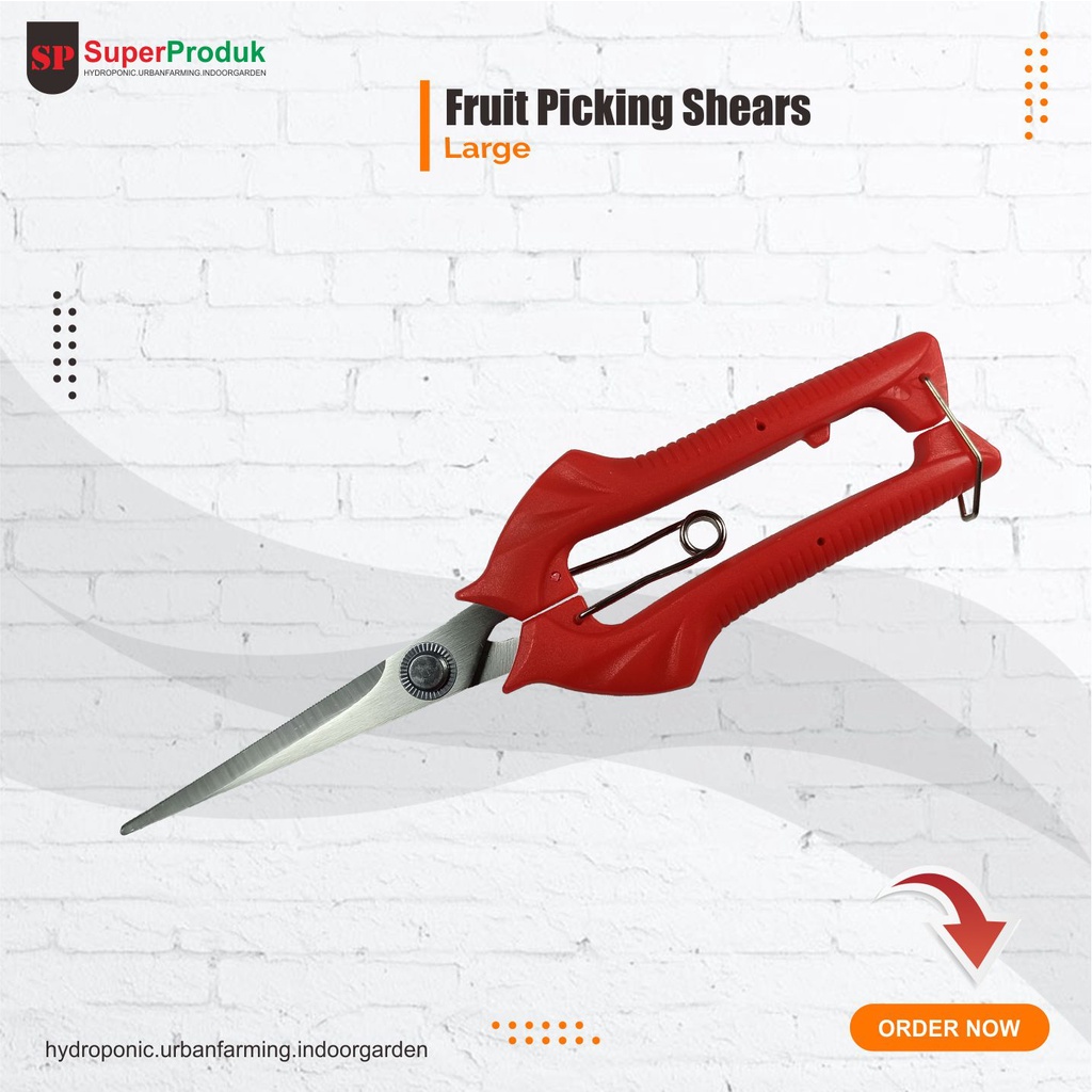 Gunting Buah, Bunga, Daun, Bonsai - Fruit Picking Shears L
