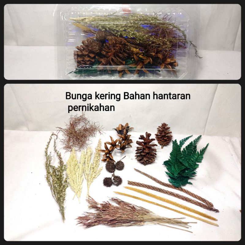 bunga kering bahan hantaran pernikahan / bulu merak india 30cm