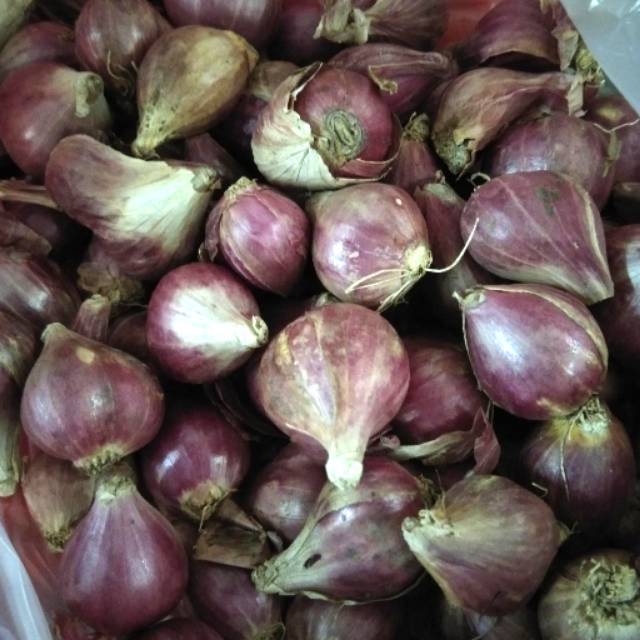 

Bawang Merah 250 gram