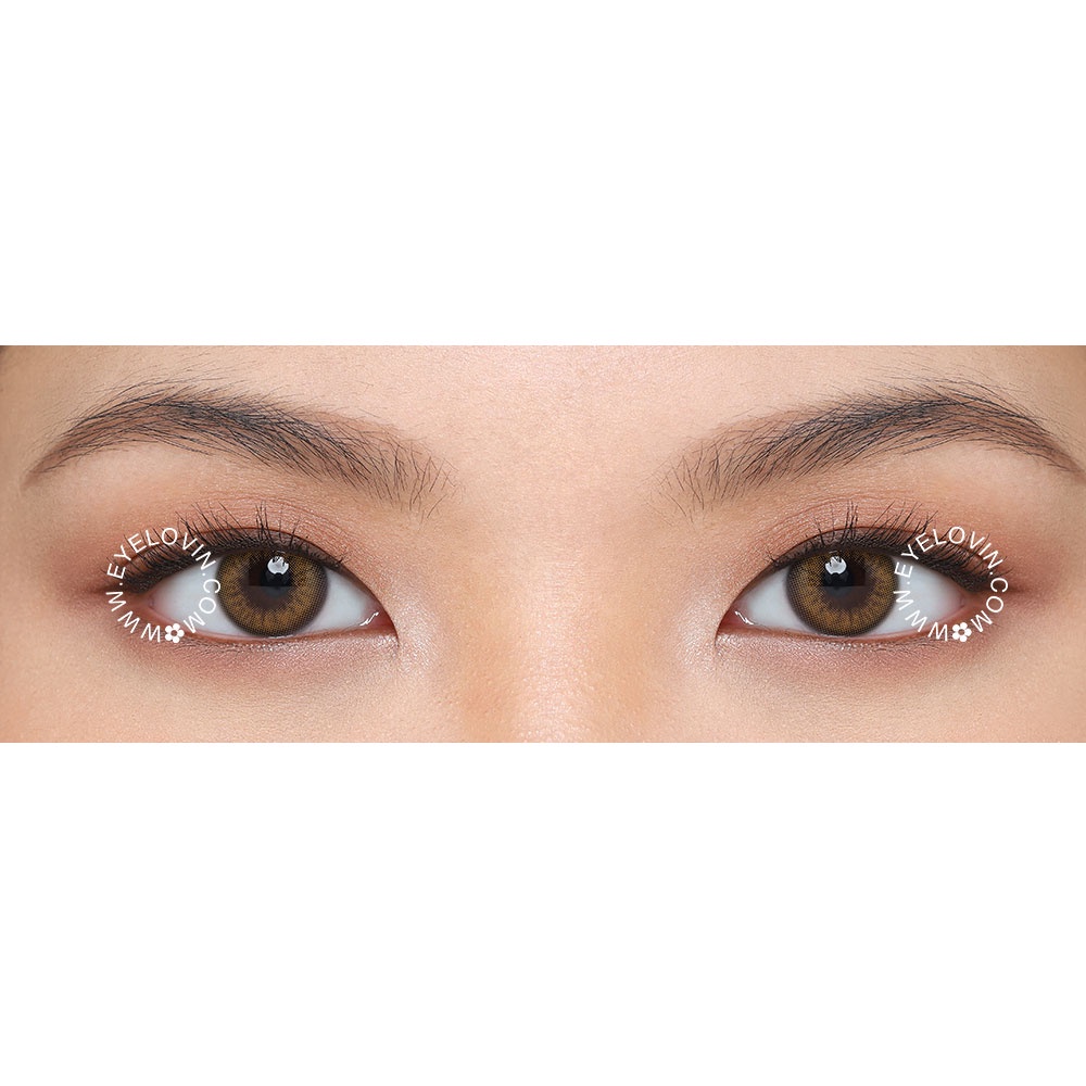 Eyelovin Softlens Mite Clair Pure Moist - Gaia Brown