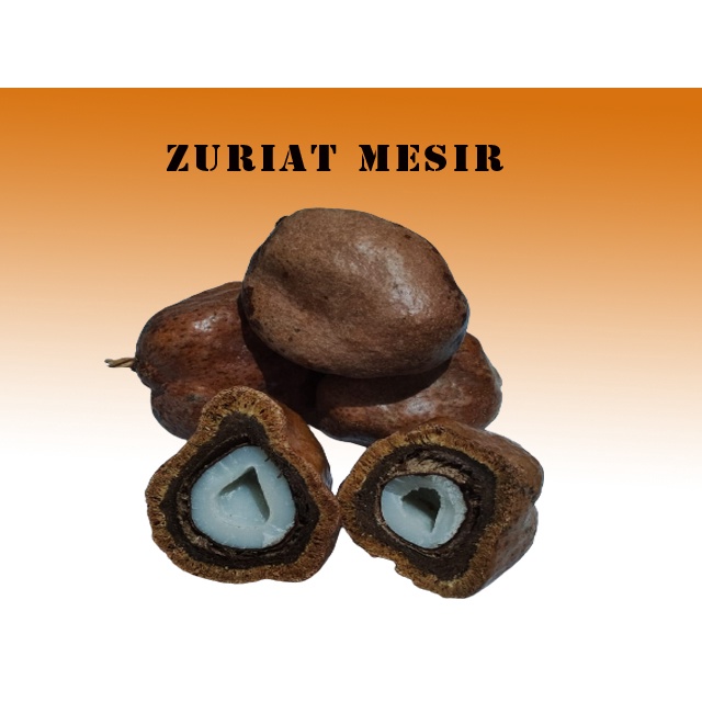 Buah Zurait Mesir  1kg | Zuriat Dom Program Hamil |Dom Mesir Promil.