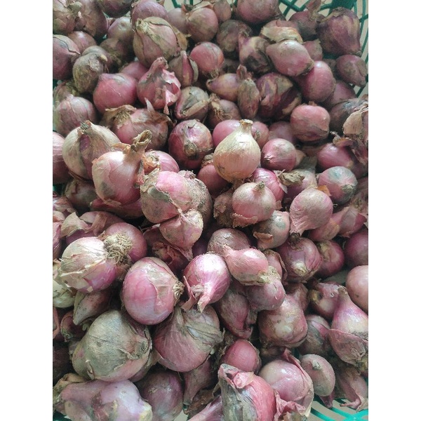 

BAWANG MERAH BATU