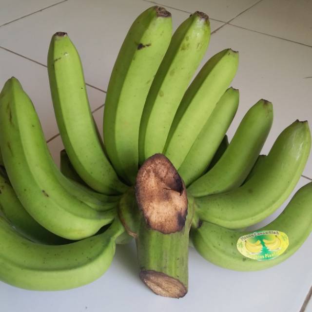

Pisang Cavendish Alami
