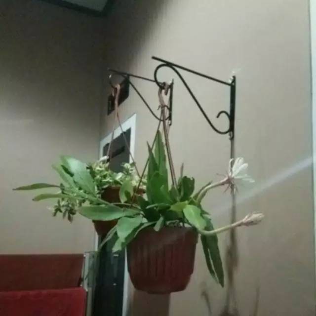 DTproject - gantungan besi gantungan pot besi