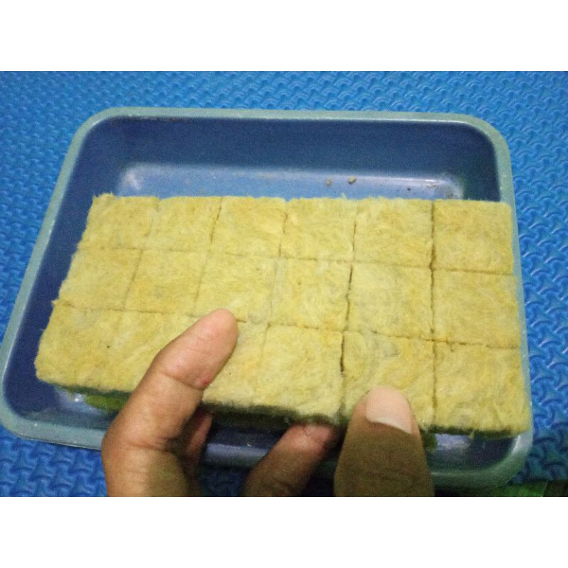 

Import media tanam rockwool hidroponik siap pakai merk cultilene isi 18 kotak