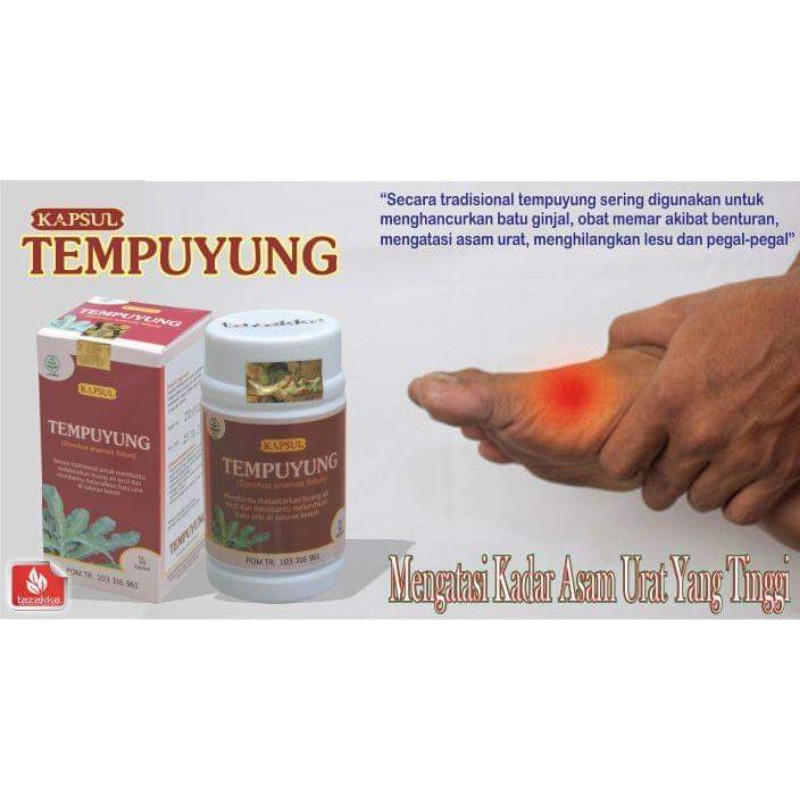 Jual Kapsul Ekstrak Tempuyung Tazakka Original Shopee Indonesia