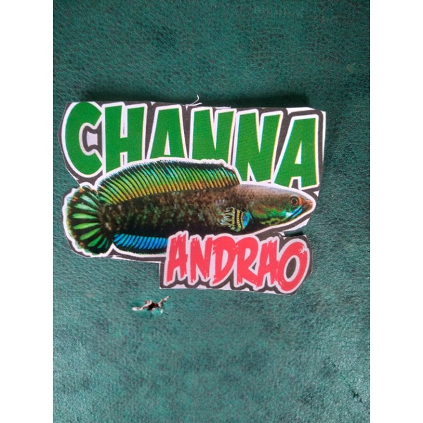

STIKER CHANNA ANDRAO
