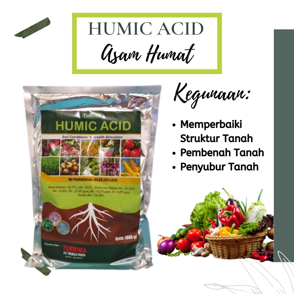 PUPUK asam humat pembenah tanah, penyubur tanah terbaik, tanah sawah, tanah tandus, penyubur tanah