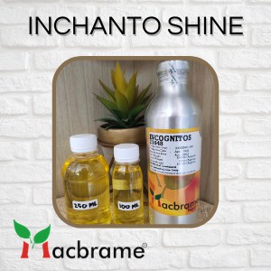 bibit parfum Inchanto Shine  250ml MACBRAME