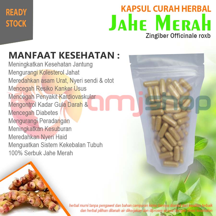 

KAPSUL CURAH HERBAL JAHE MERAH