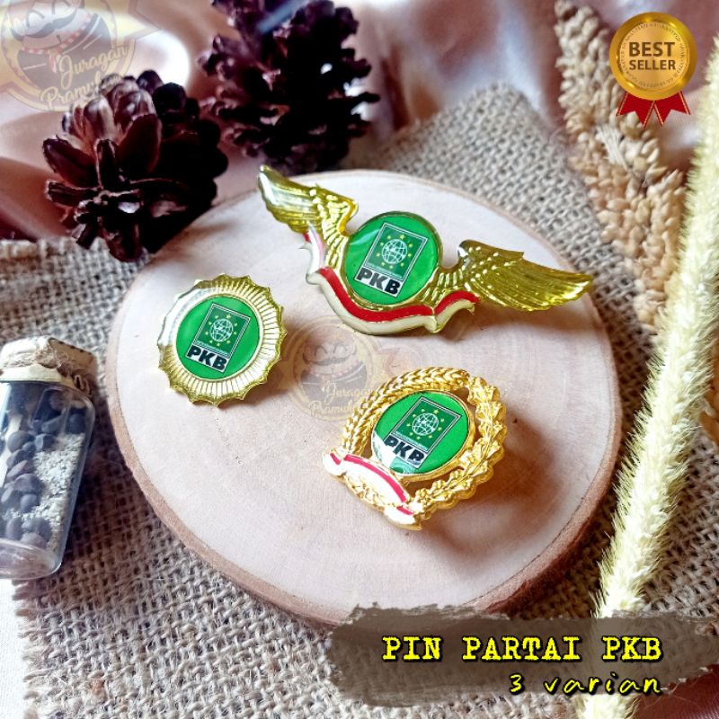 PIN PARTAI PKB