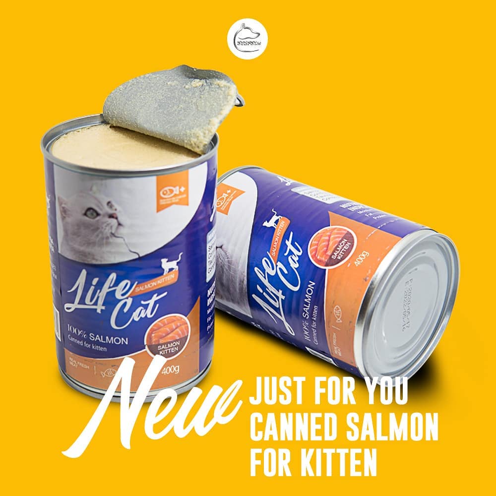 Kaleng Life cat kitten &amp; adult 400 gr makanan basah Cair Anak Kucing Dewasa Kaleng