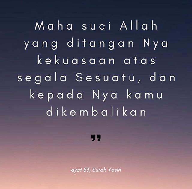 Sweet Home Shelf Ambalan Sweet Home