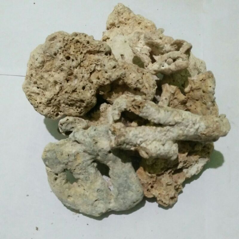 Batu Karang Bolong Hiasan Akuarium 1 kg