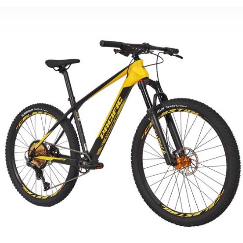 Sepeda pasific Armour DX (carbon)