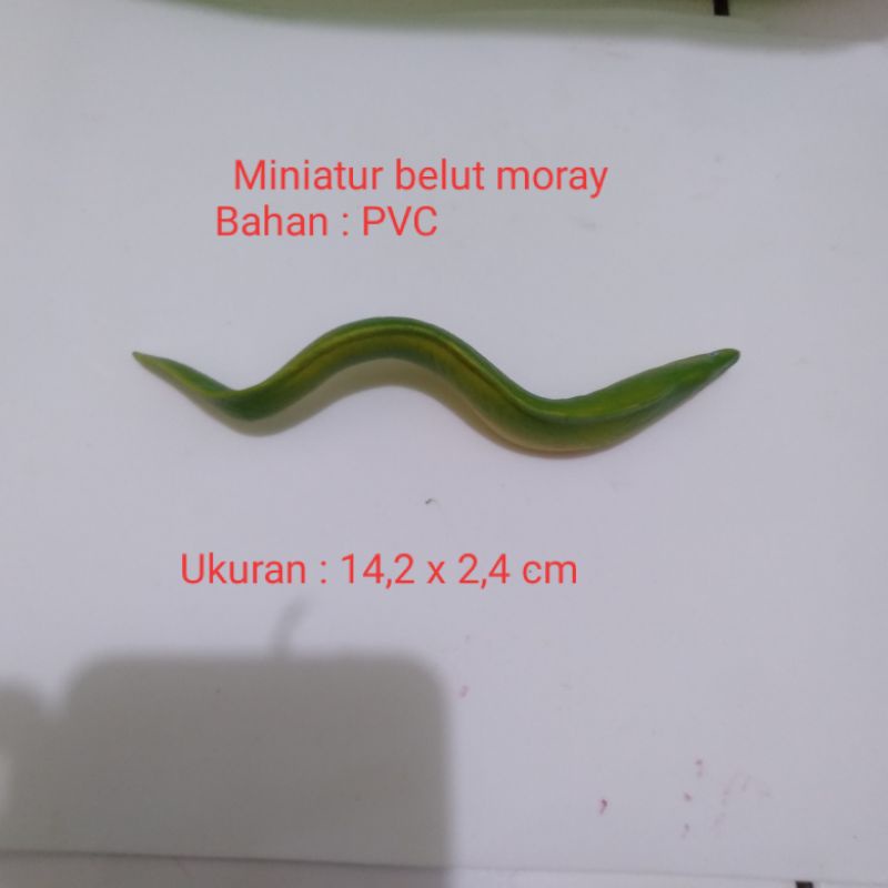 (TERBARU) Miniatur Belut Moray