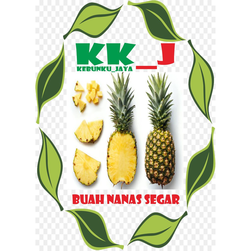 

BUAH NANAS SEGAR PERBUAH KEBUNKU_JAYA