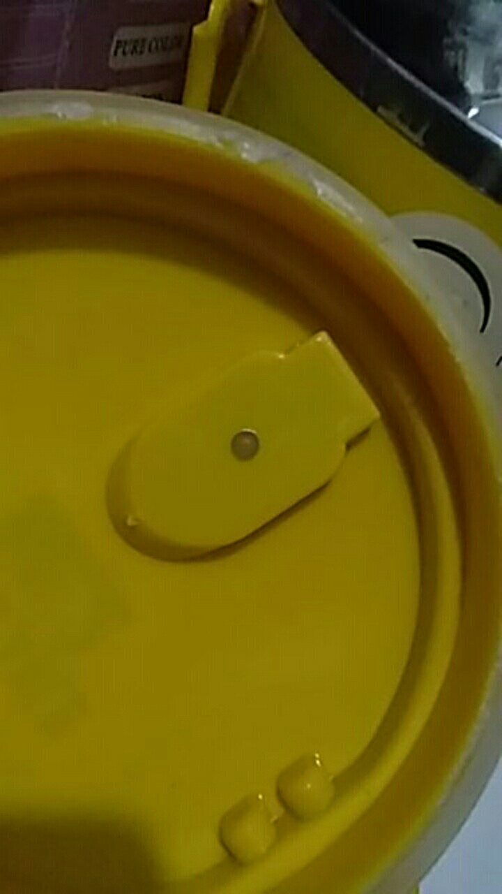 Rantang Nasi Anak Lunch Box Kotak Nasi Lucu Stainless Karakter 1layer