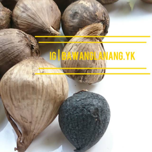 

Bawang Lanang Hitam