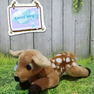 53 Gambar Hewan Kancil Asli Gratis Terbaik