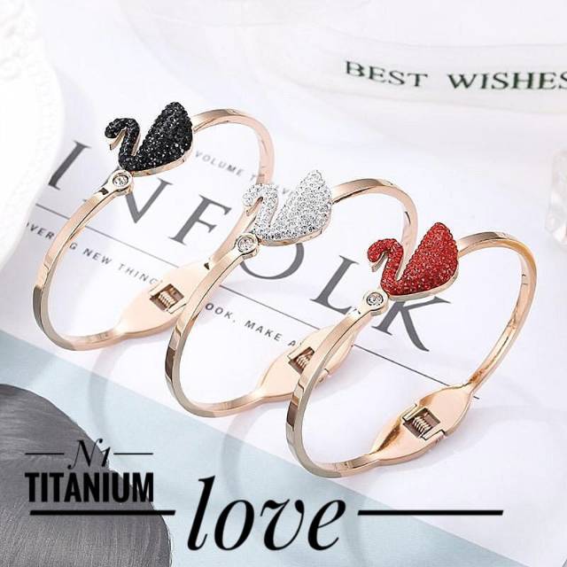 Titanium gelang 0419k