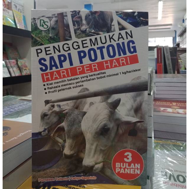 Rahasia Sukses Ternak Sapi Potong