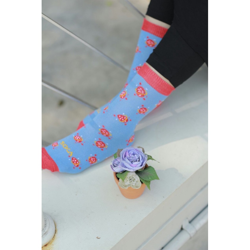 Kazarasock - Kaos Kaki Soka Ecosock Motif - Kaos Kaki Soka